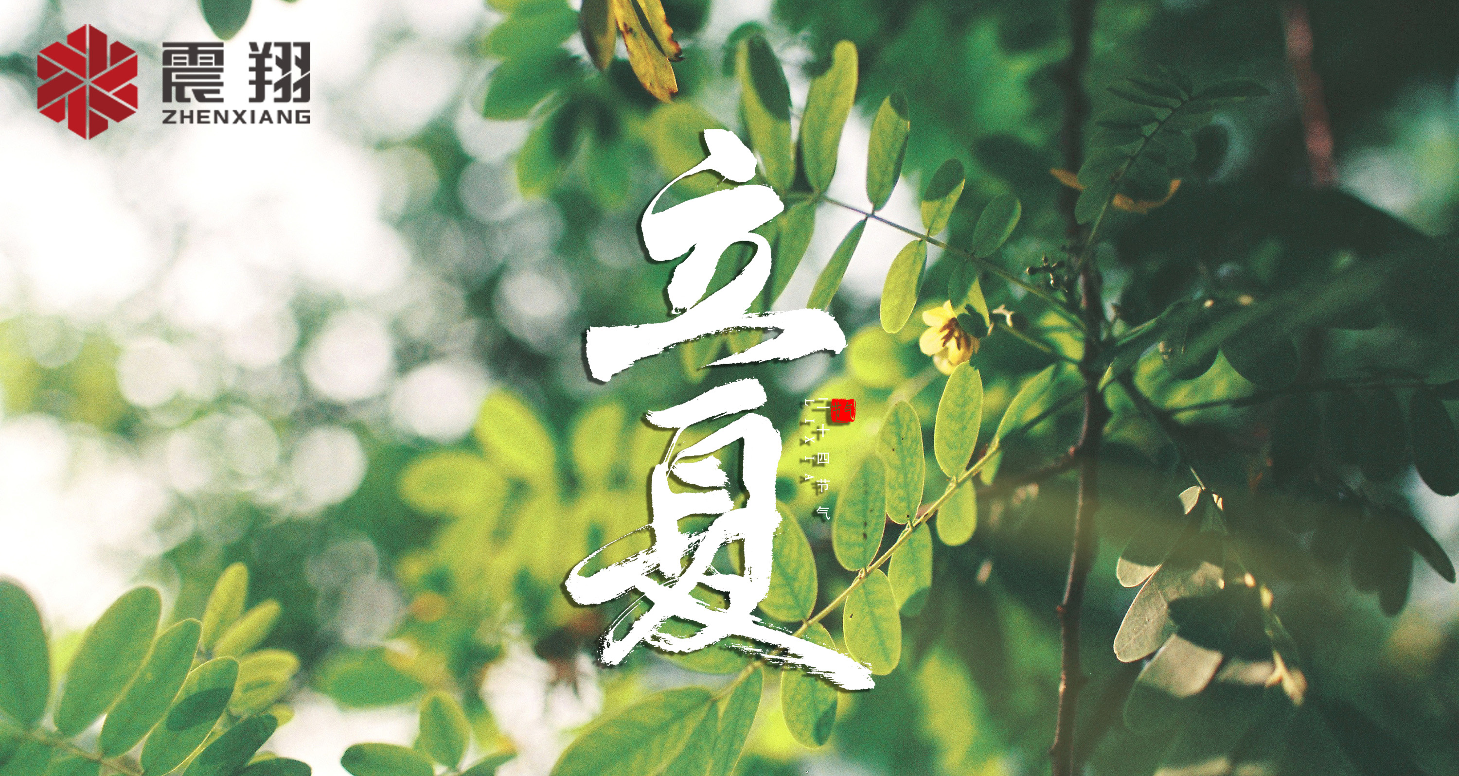 【立夏】春去春來不曾留意，夏日當(dāng)歸，撲面而來