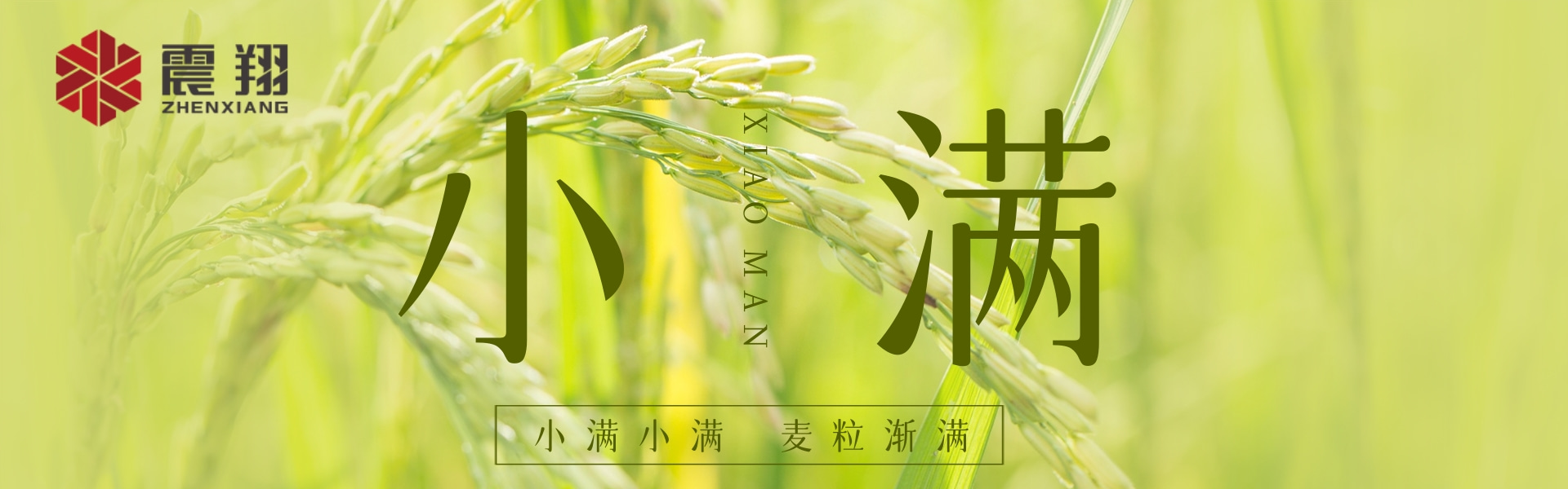 小滿|???????小滿小滿，江河漸滿。